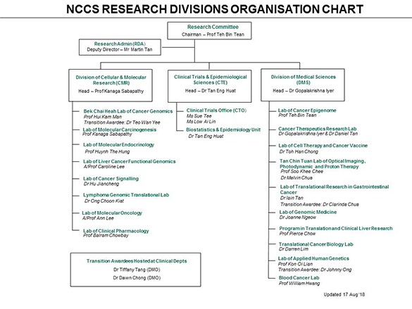 Proton Organization Chart