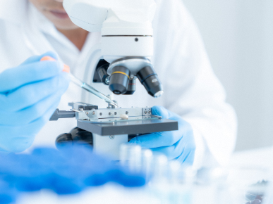 Researchers In Action