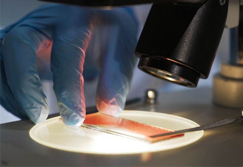Medical Sciences
