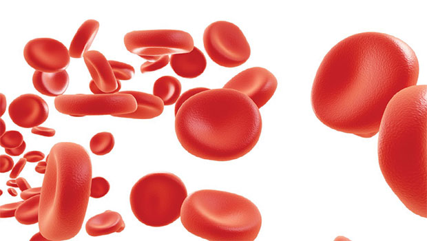 are chronic haematological disorders characterised by elevated blood counts. MPNs arise from uncontrolled proliferation of haematopoietic stem cells in the bone marrow.