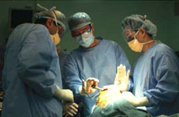 Knee Surgeries Singapore General Hospital